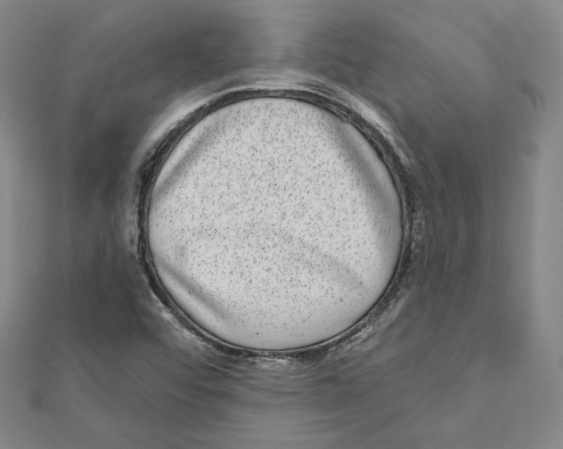 X0000111871456200908201206