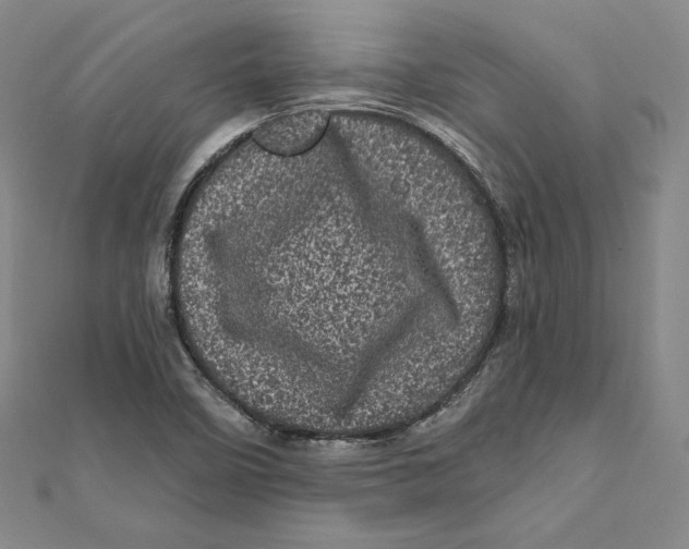 X0000111871458200908201206