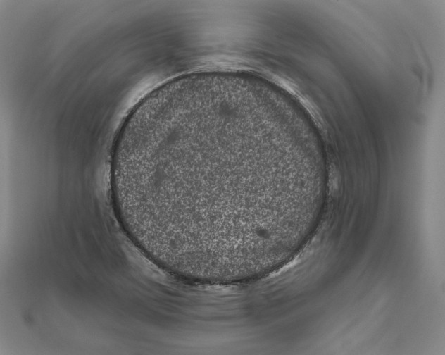 X0000111871459200908201206