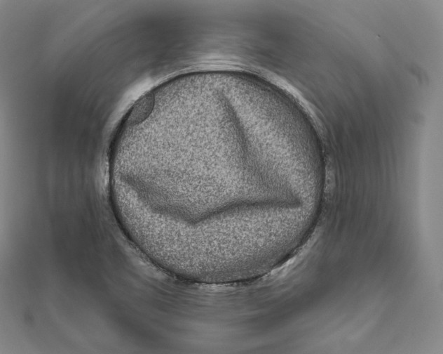 X0000111871461200908201206