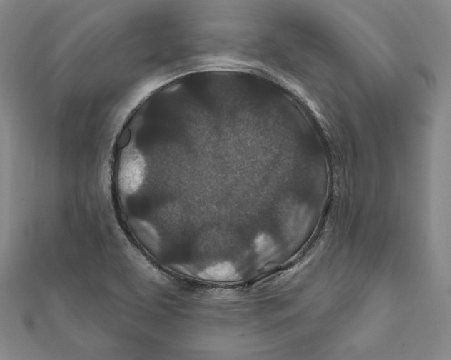 X0000111871463200908201206