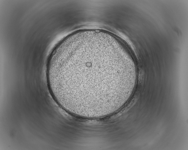 X0000111871464200908201206