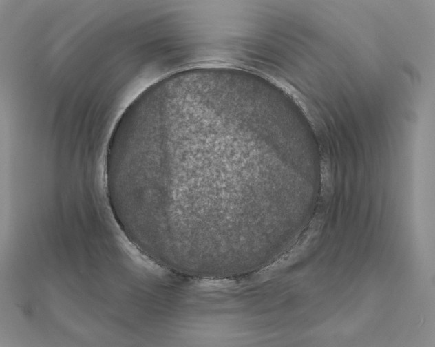 X0000111871466200908201206