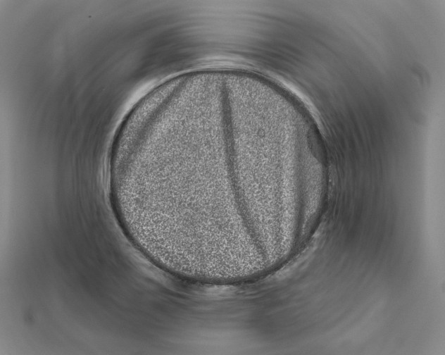 X0000111871467200908201206