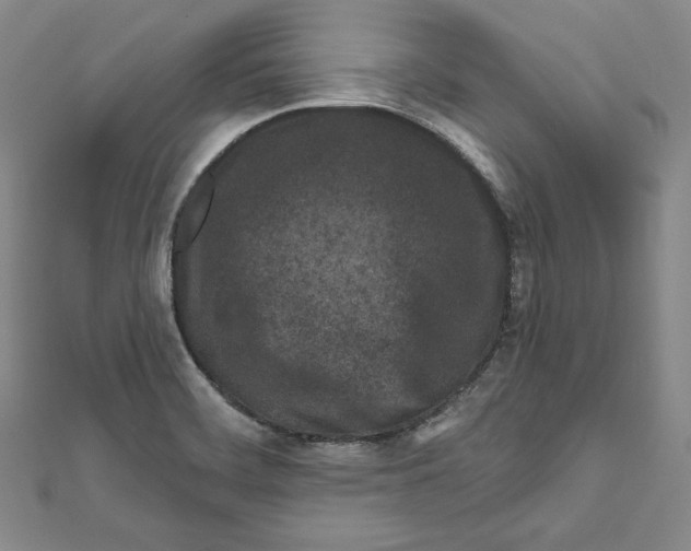 X0000111871468200908201206