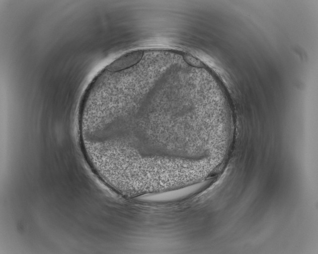 X0000111871469200908201206