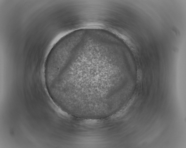 X0000111871470200908201206