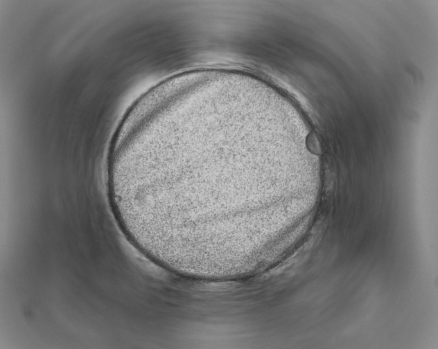 X0000111871471200908201206