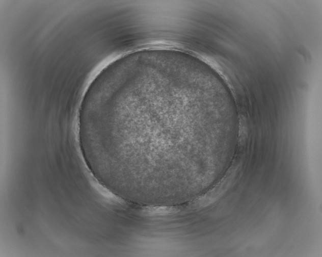 X0000111871474200908201206