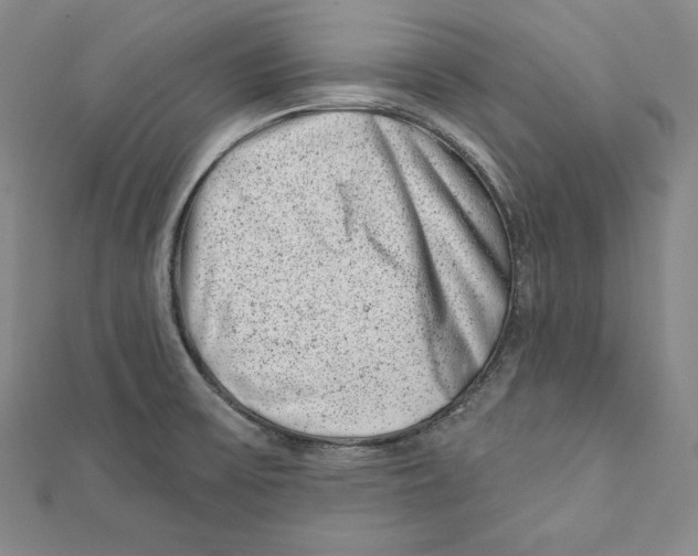 X0000111871475200908201206