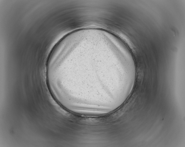 X0000111871476200908201206