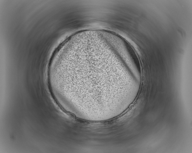 X0000111871477200908201206