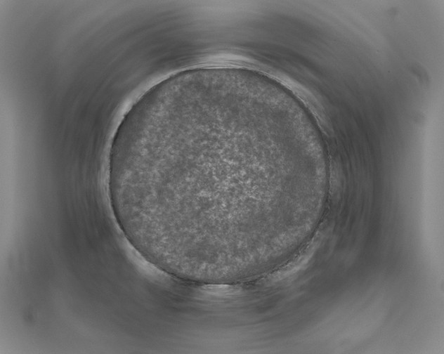 X0000111871478200908201206