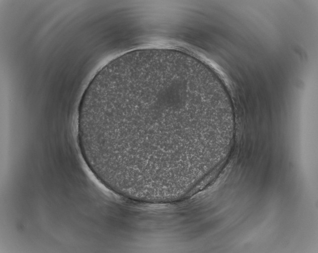 X0000111871479200908201206