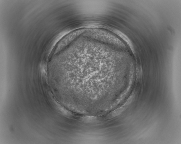 X0000111871481200908201206