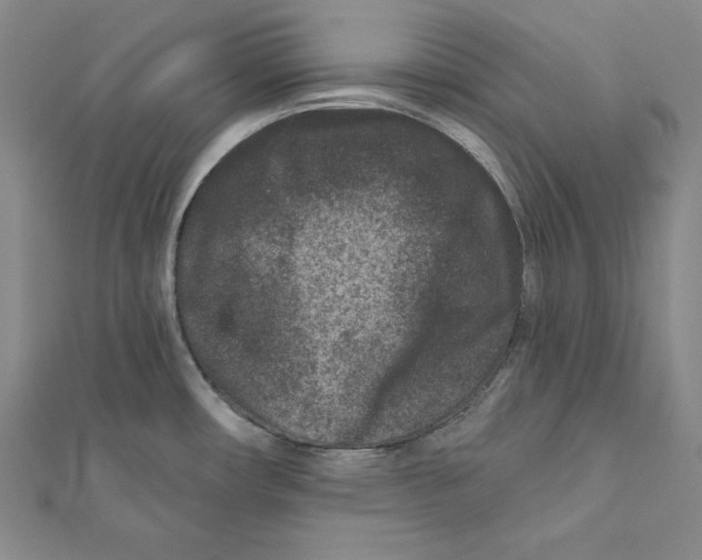 X0000111871482200908201206