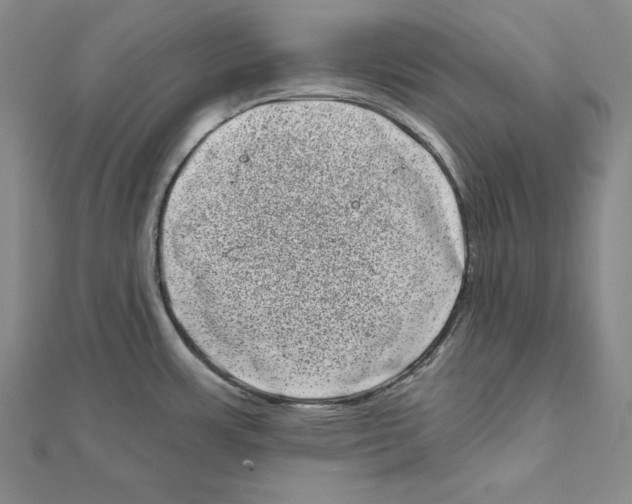 X0000111871483200908201206