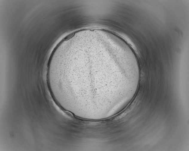 X0000111871484200908201206