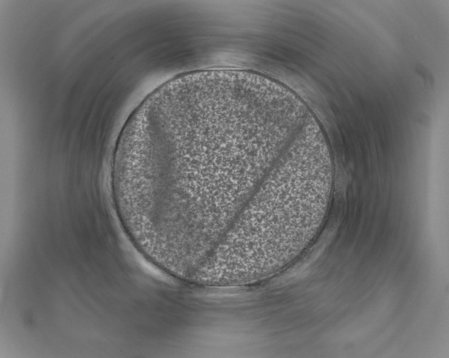 X0000111871486200908201206