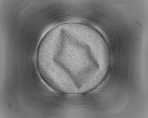 X0000111871487200908201206