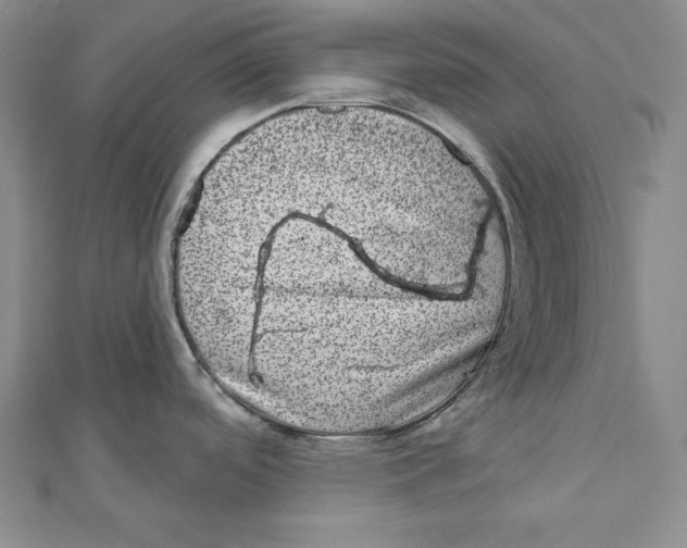 X0000111871488200908201206