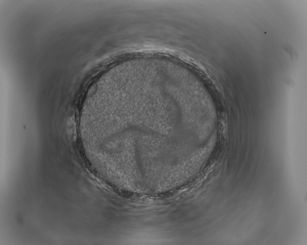 X0000111871493200908201205