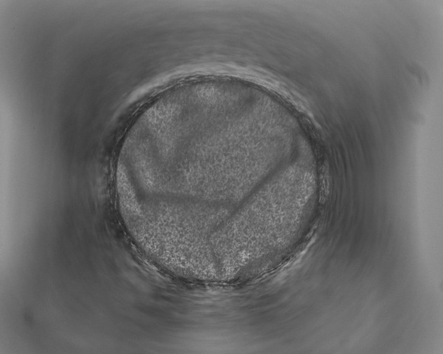 X0000111871494200908201205