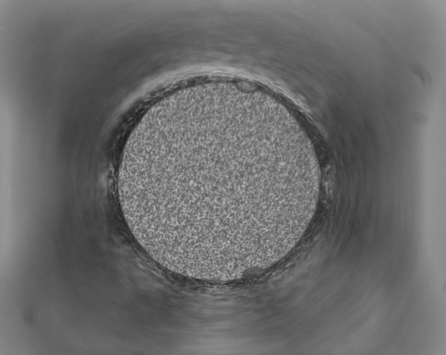 X0000111871495200908201205