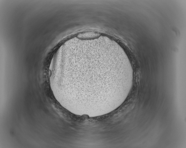 X0000111871496200908201205