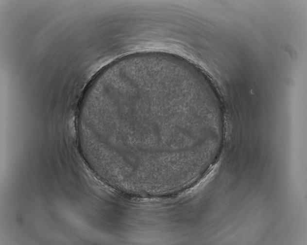 X0000111871497200908201205