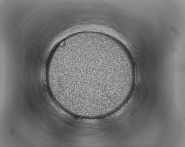 X0000111871498200908201205