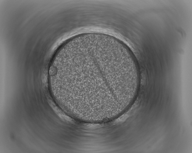 X0000111871499200908201205