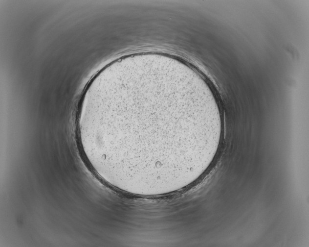 X0000111871500200908201205