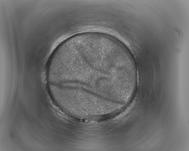 X0000111871501200908201205