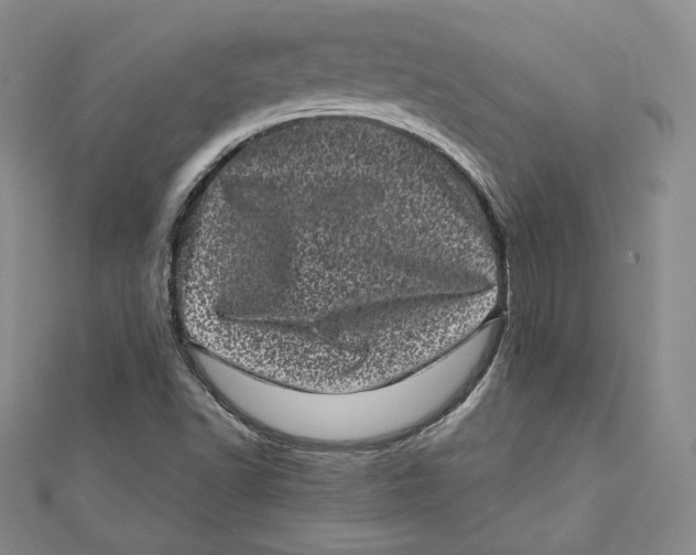 X0000111871502200908201205