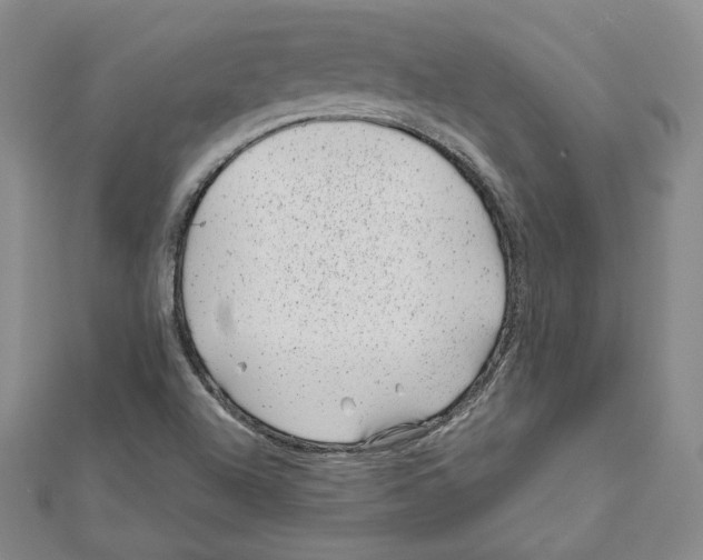 X0000111871504200908201205