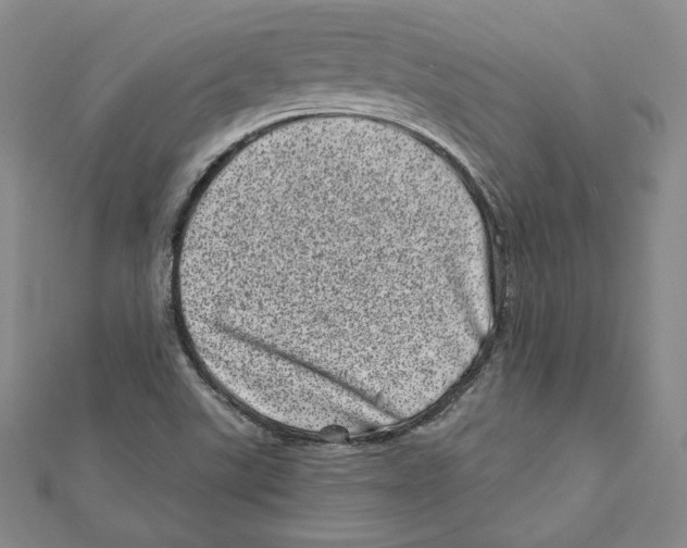 X0000111871507200908201205