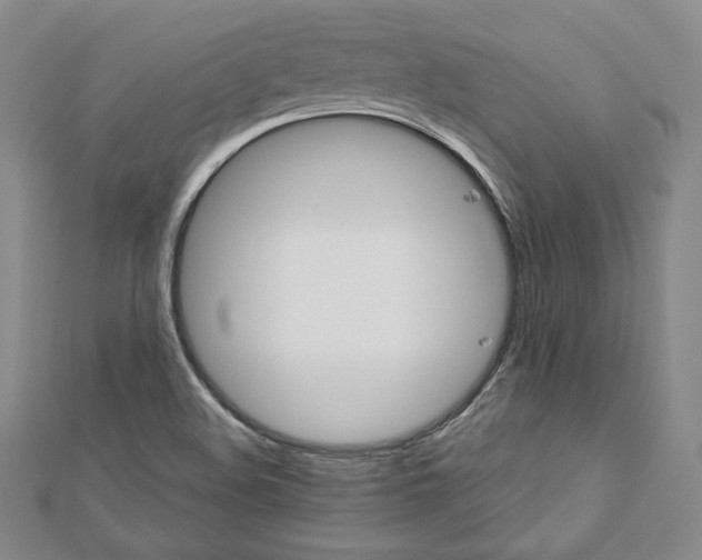 X0000111871508200908201205