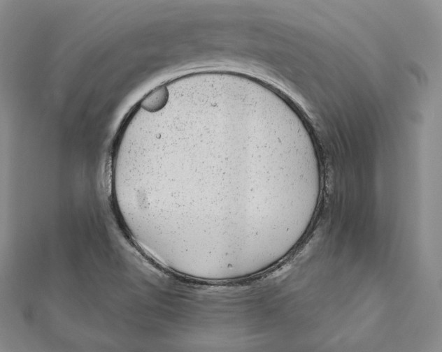 X0000111871510200908201205