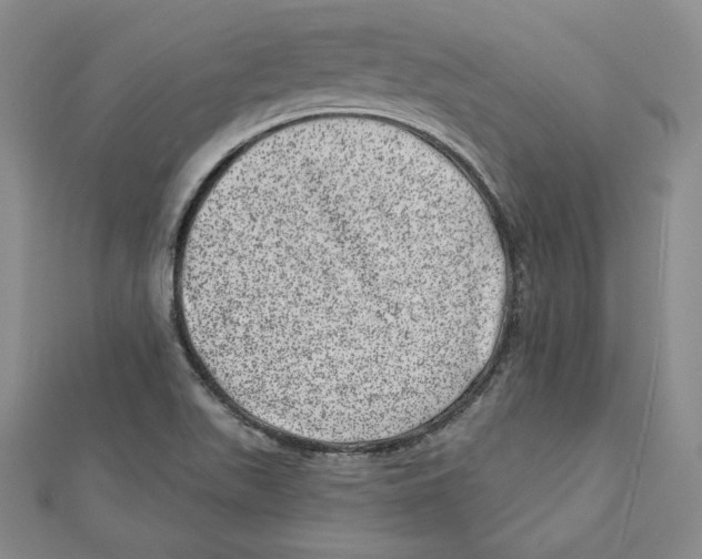 X0000111871511200908201205