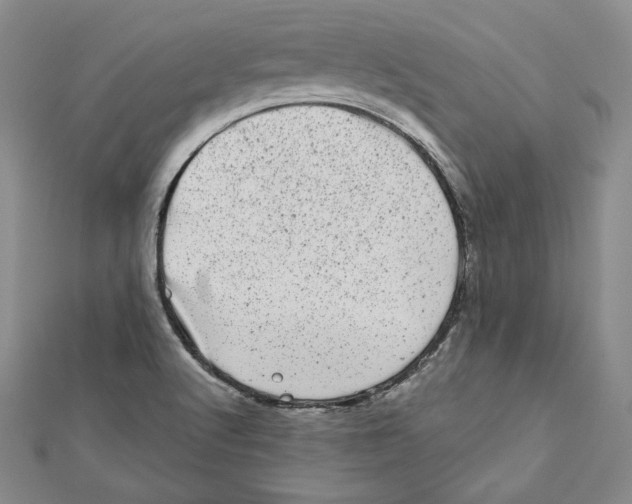 X0000111871512200908201205