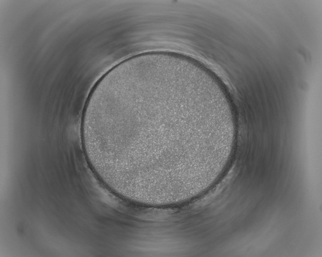 X0000111871513200908201205