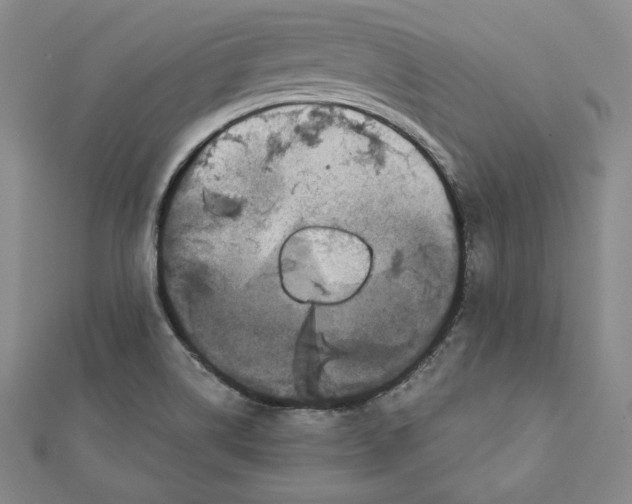 X0000111871514200908201205