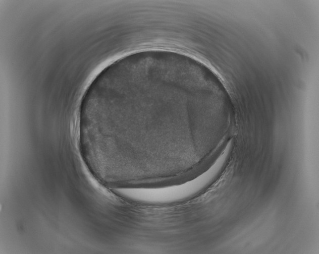 X0000111871515200908201205