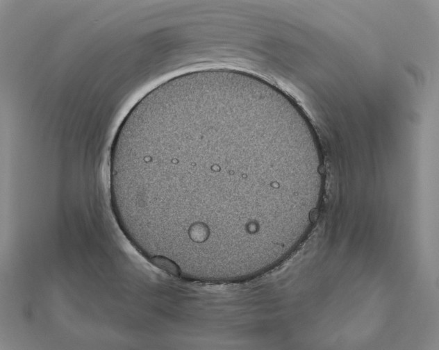 X0000111871516200908201205