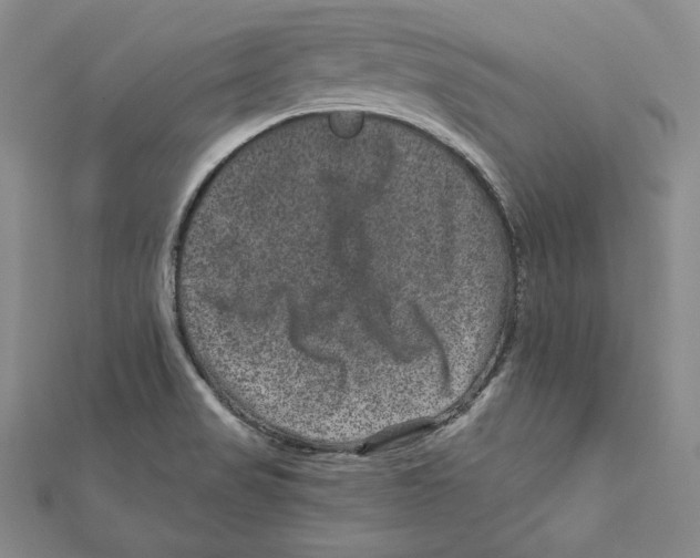 X0000111871517200908201205