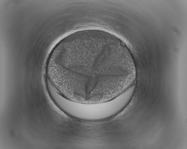 X0000111871518200908201205