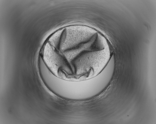 X0000111871519200908201206