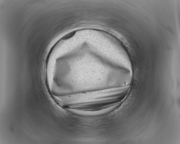 X0000111871520200908201206