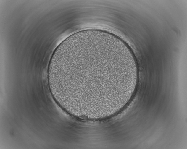 X0000111871521200908201206